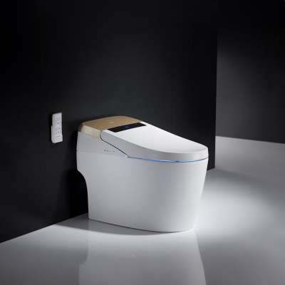 newly arrival Japanese  style siphonic  toilet seat  used rest room